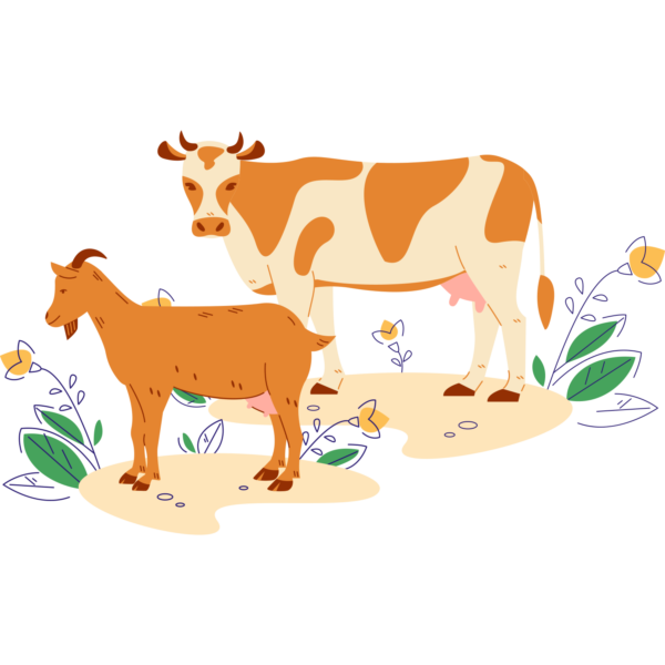 Ilustracija_KGZ_Mleko-Loka_koza-krava Ilustracija_KGZ_Mleko-Loka_koza-krava